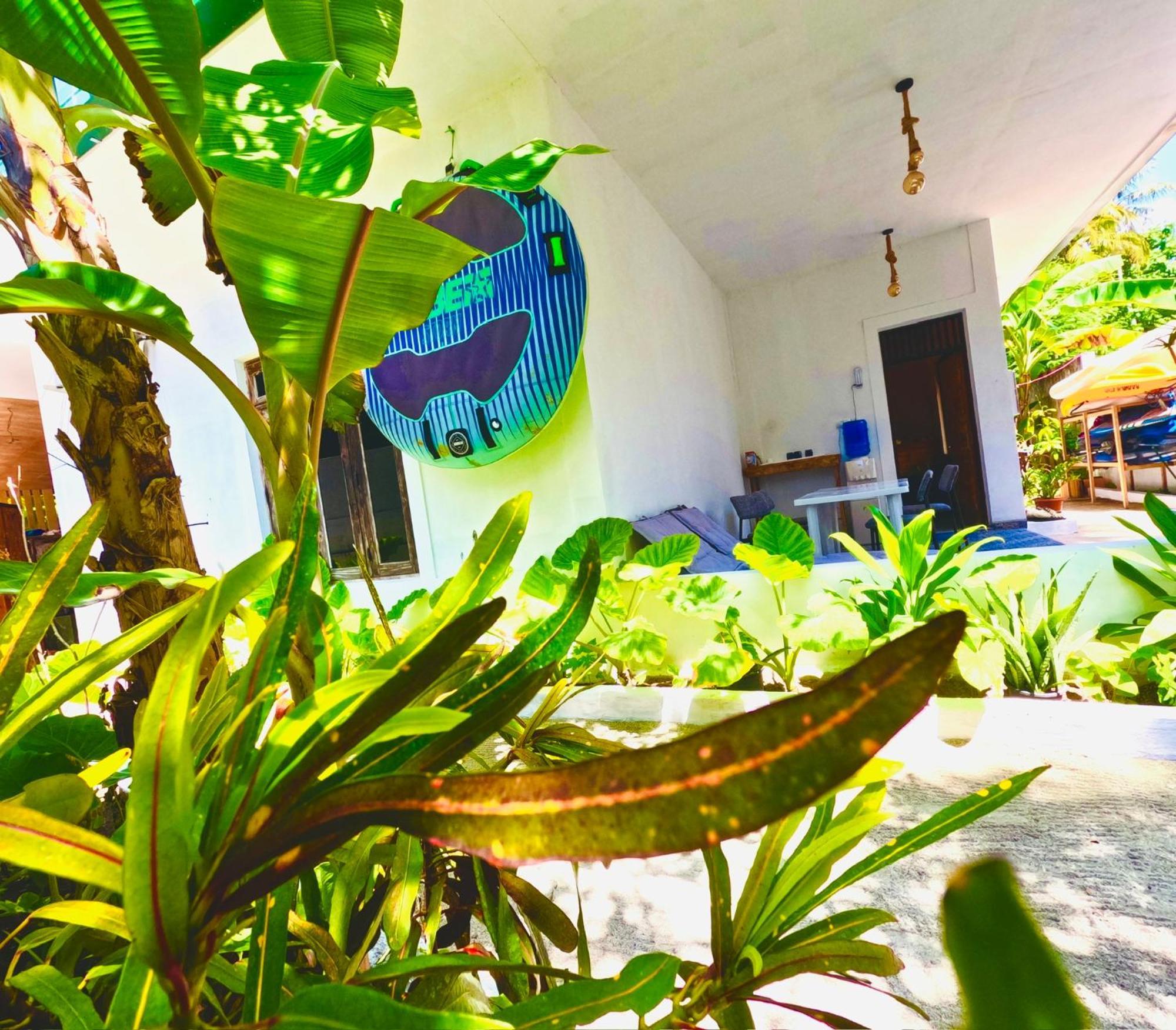 White Tern Maldives Maamigili Exterior foto